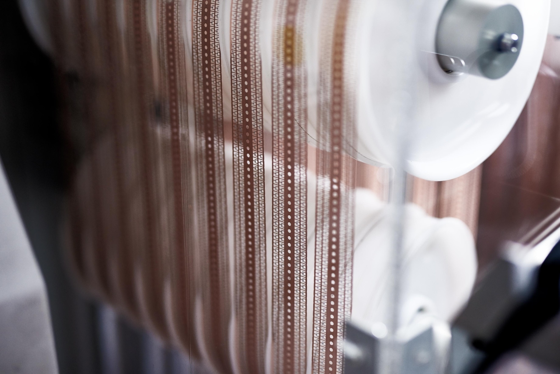 closeupHeader Photo RF