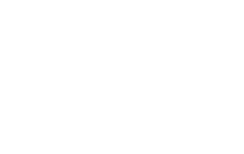 DCA Logo Wit