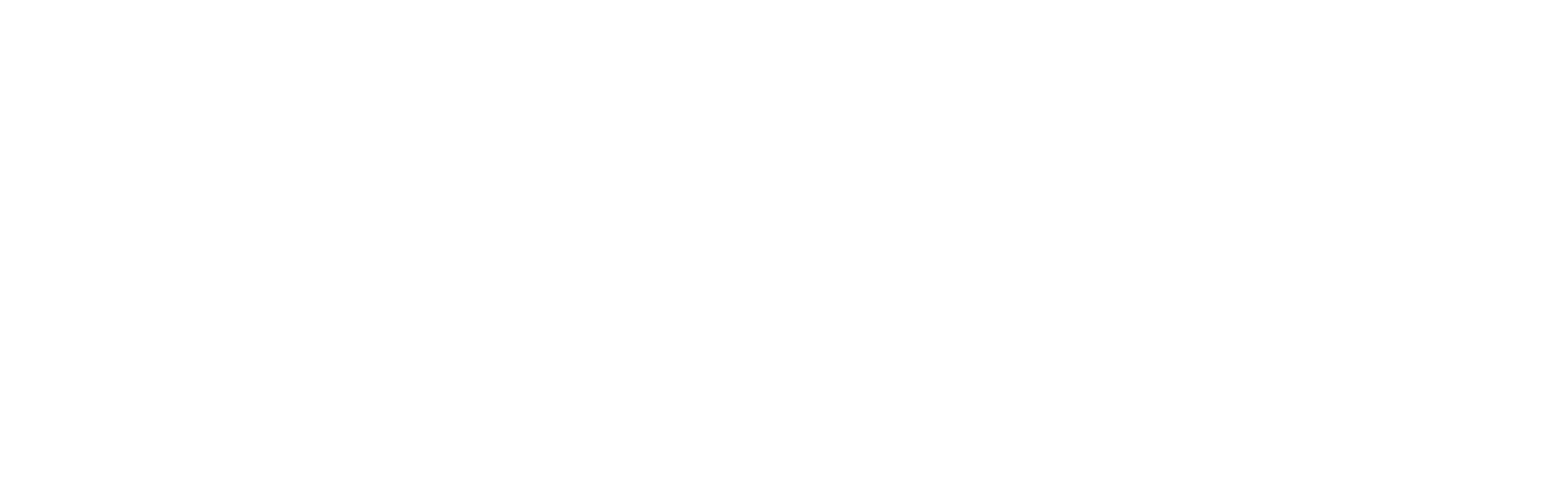 salesforce+white+final